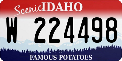 ID license plate W224498