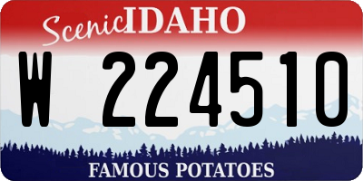 ID license plate W224510