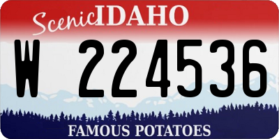 ID license plate W224536