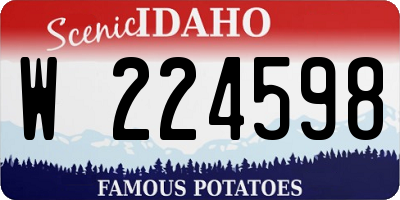 ID license plate W224598