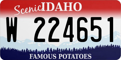 ID license plate W224651