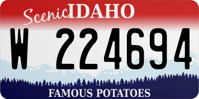 ID license plate W224694