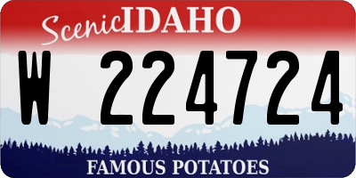 ID license plate W224724