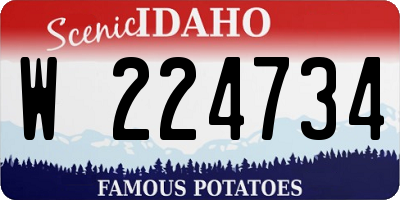 ID license plate W224734