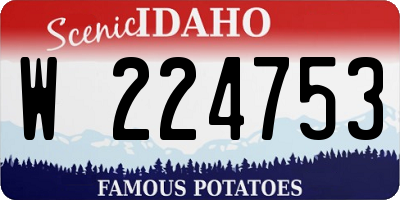 ID license plate W224753
