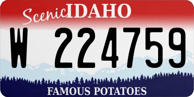 ID license plate W224759