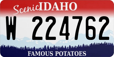 ID license plate W224762