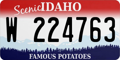 ID license plate W224763