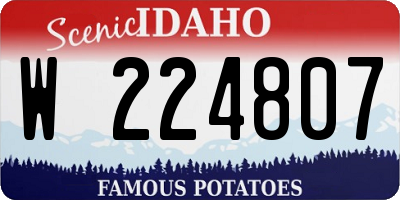 ID license plate W224807
