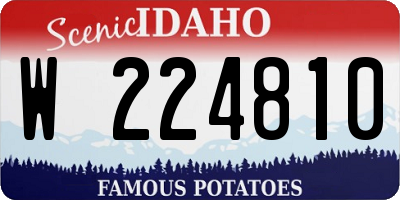 ID license plate W224810
