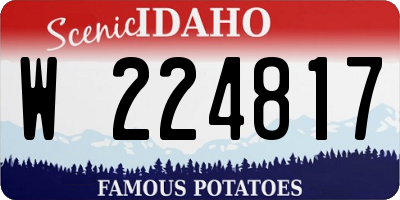 ID license plate W224817