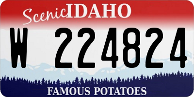 ID license plate W224824