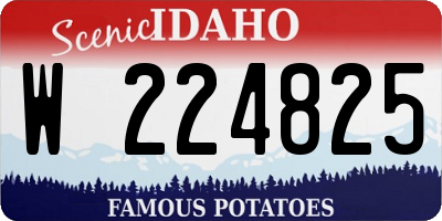 ID license plate W224825
