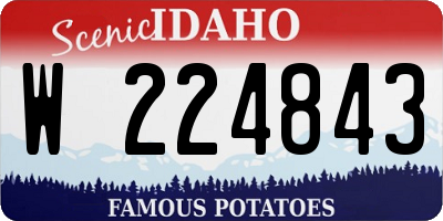 ID license plate W224843