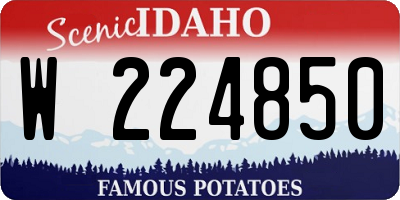 ID license plate W224850