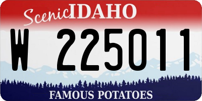 ID license plate W225011
