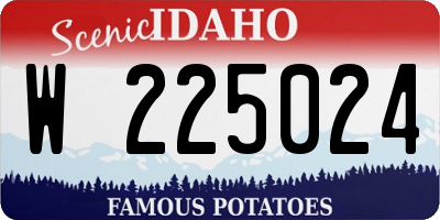 ID license plate W225024