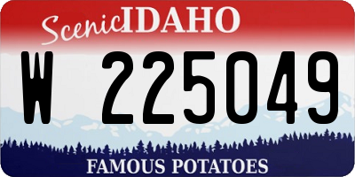 ID license plate W225049