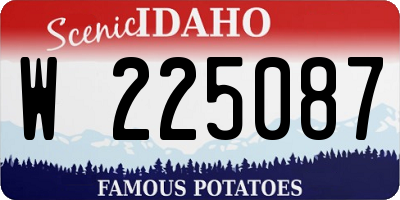 ID license plate W225087