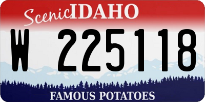 ID license plate W225118