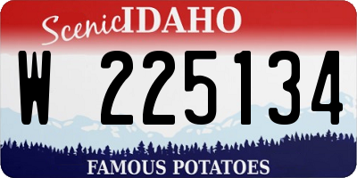 ID license plate W225134