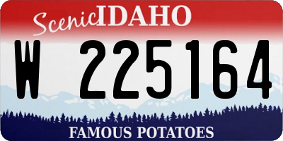ID license plate W225164
