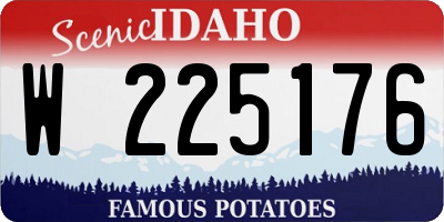 ID license plate W225176