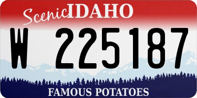 ID license plate W225187