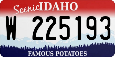 ID license plate W225193