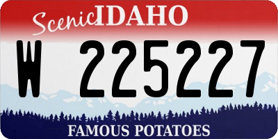 ID license plate W225227