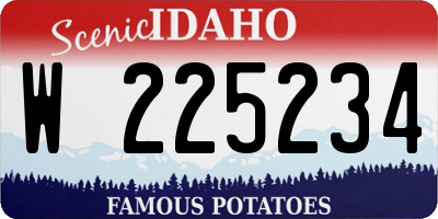 ID license plate W225234