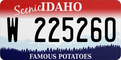 ID license plate W225260