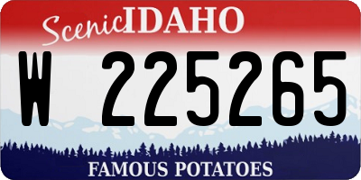 ID license plate W225265