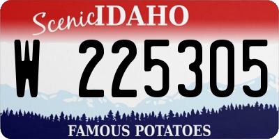 ID license plate W225305