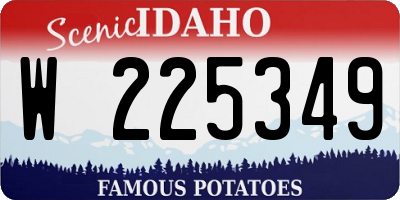 ID license plate W225349
