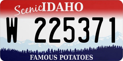 ID license plate W225371