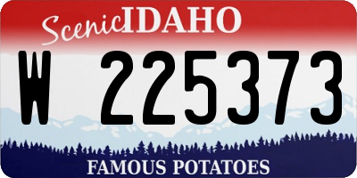 ID license plate W225373