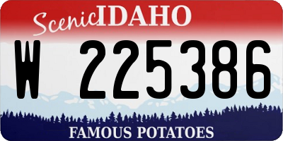 ID license plate W225386