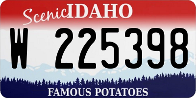 ID license plate W225398