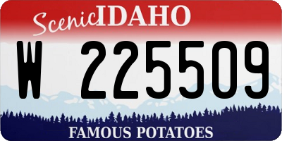ID license plate W225509