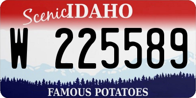 ID license plate W225589