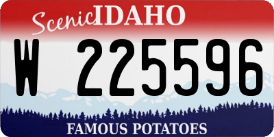 ID license plate W225596