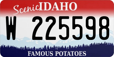 ID license plate W225598