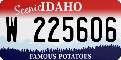 ID license plate W225606