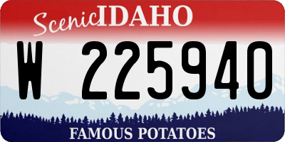 ID license plate W225940