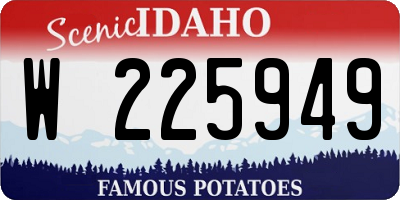ID license plate W225949