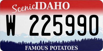 ID license plate W225990
