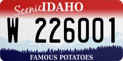 ID license plate W226001