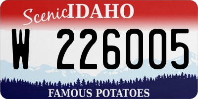 ID license plate W226005