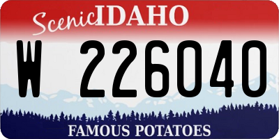 ID license plate W226040